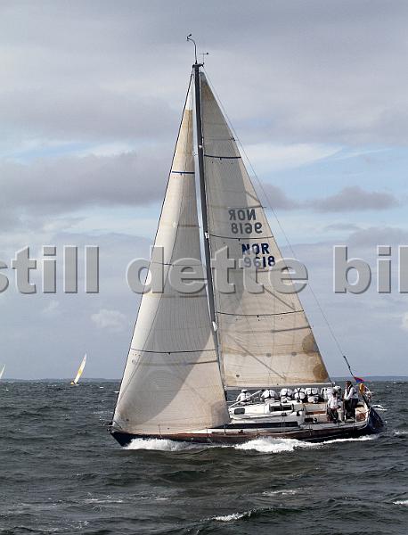 ORCi 384.jpg
